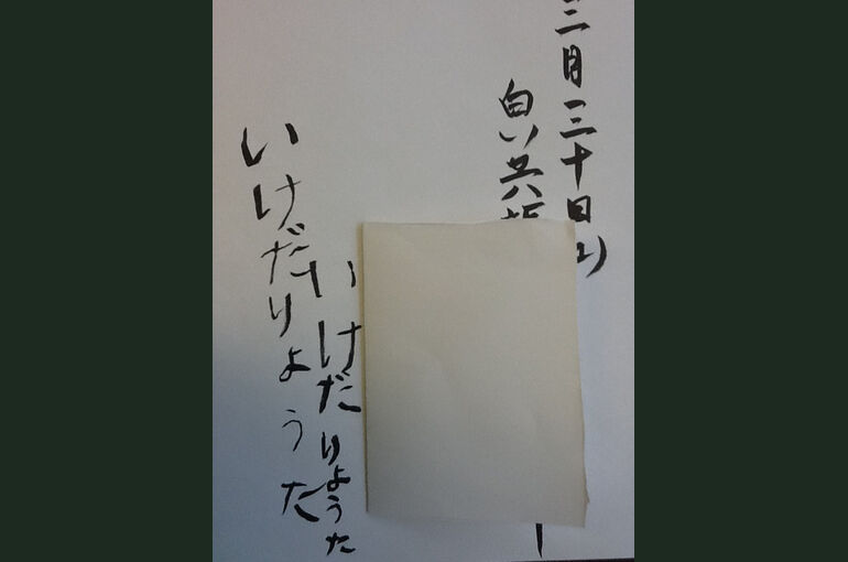 photo_12